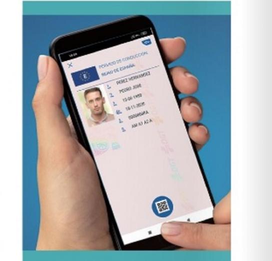 carnet-conducir-004.jpg